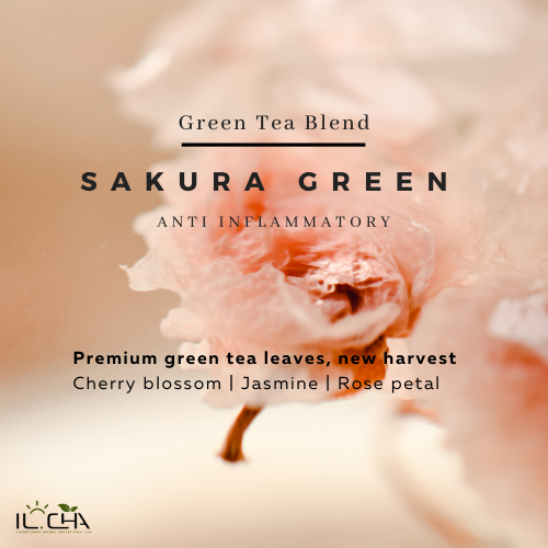 [ILCHAB14] IL-CHA organic tea wholesale bag 2lb - Sakura Green